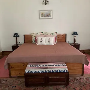  Villa Dimple Lodge, India
